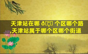 天津站在哪 🦊 个区哪个路,天津站属于哪个区哪个街道